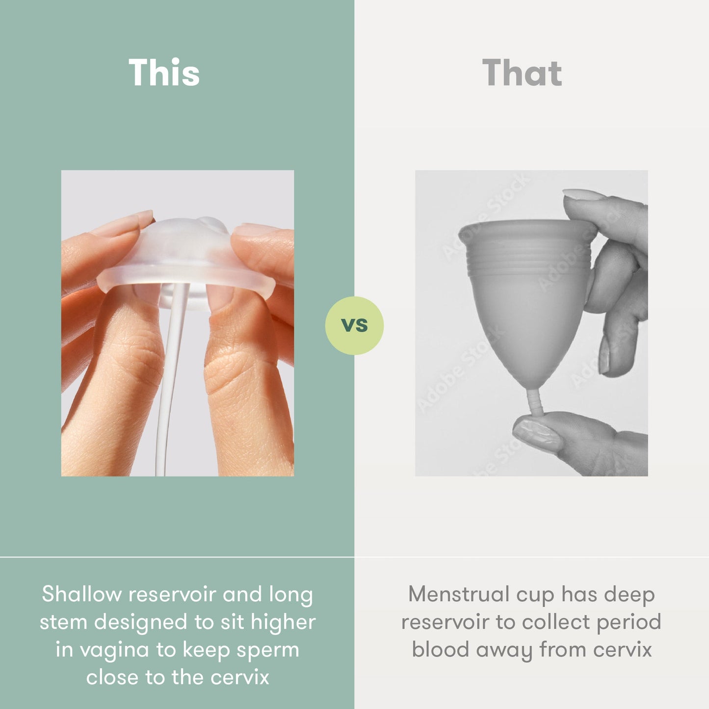Conception Aid Cup