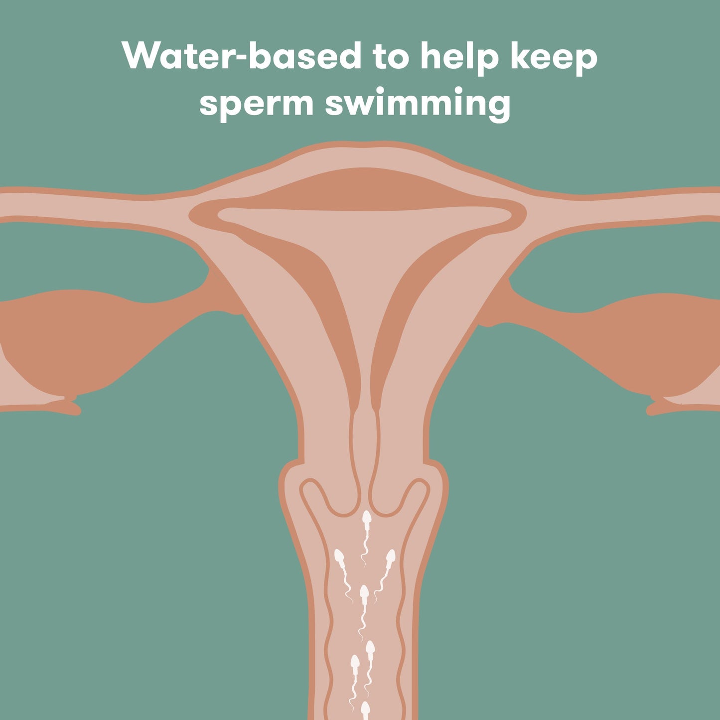 Conception Friendly Lubricant